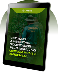 estudos estudos